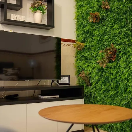 Milena's House Daire Nazaré